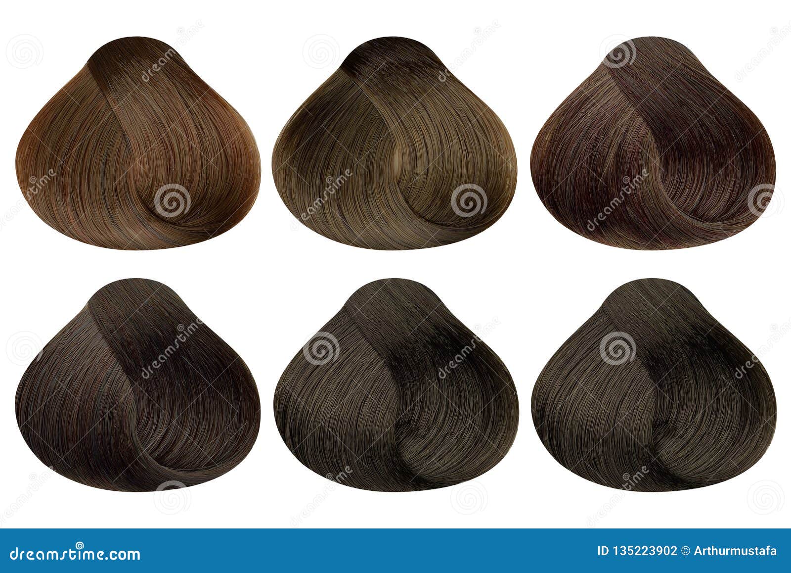 Set Of Locks Of Six Different Brown Hair Color Samples X28