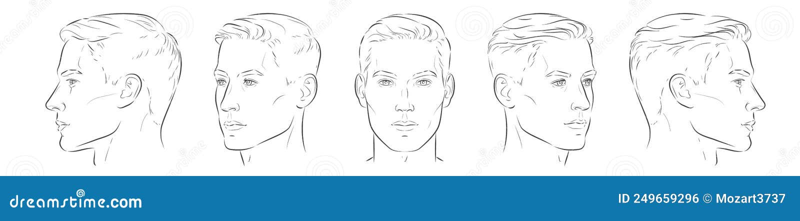 How to Draw The Front View of The Male Head