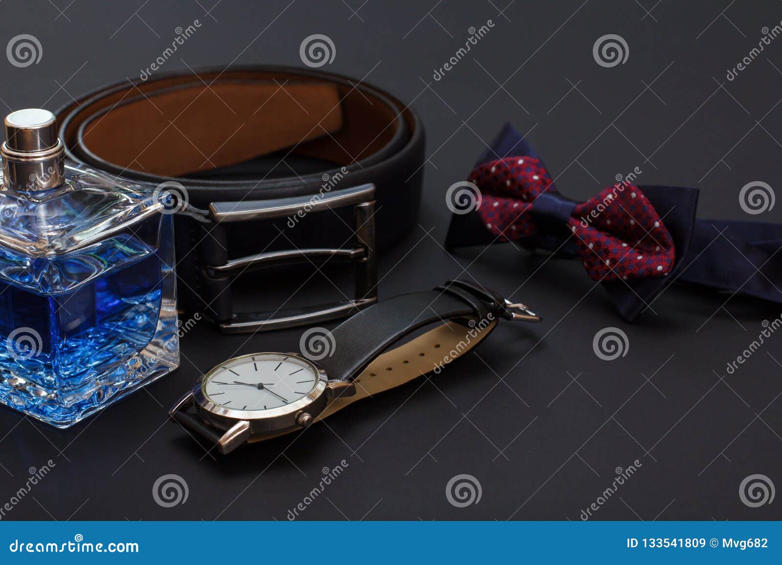 Set of Men Accessories in Business Style. Luxury Businessman Attributes ...