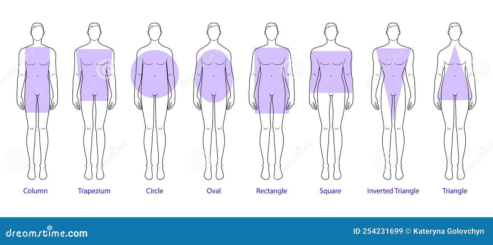 Set of Men Body Shape Types: Triangle, Column, Trapezium, Circle, Oval ...