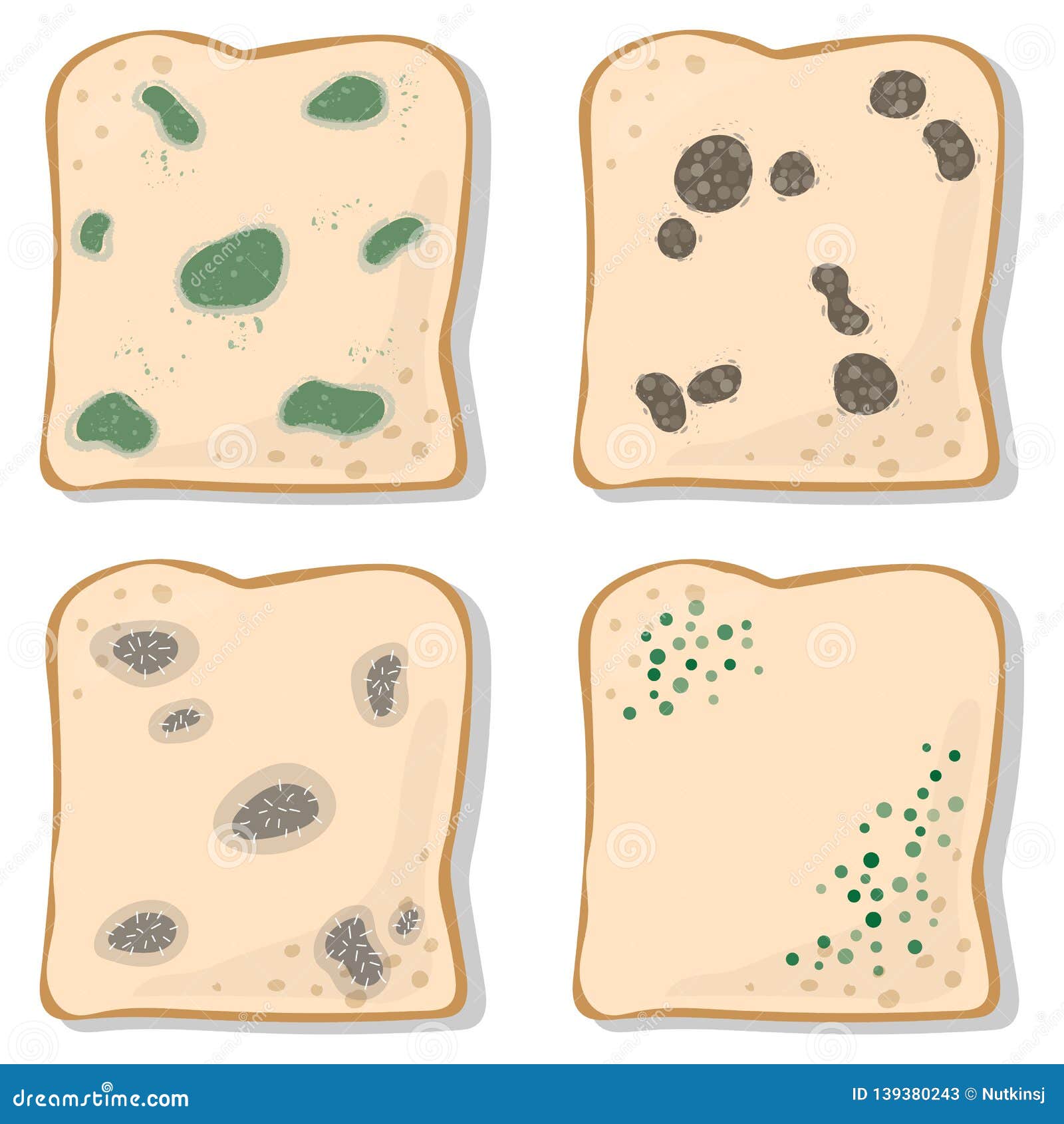 bread mold clipart