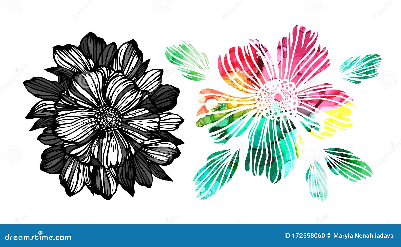 Monochrome and Multicolored Graphic Flowers. Mixed Media. Logo Vector