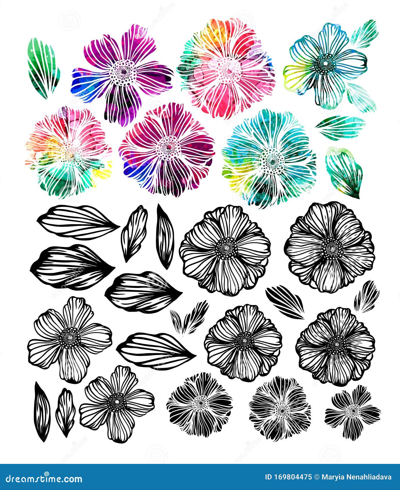 Set of Monochrome and Multicolored Graphic Flowers. Mixed Media. Logo