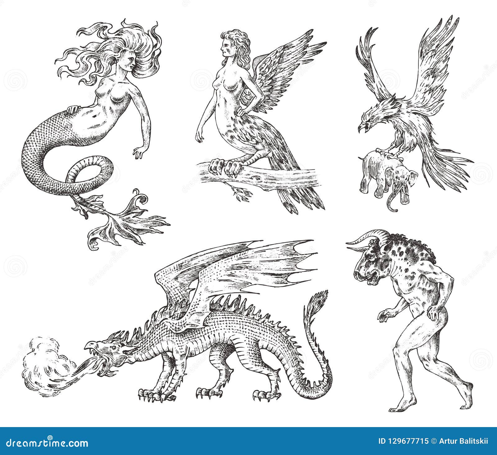 set of mythological animals. mermaid minotaur chinese dragon harpy griffin mythical basilisk roc woman bird. greek
