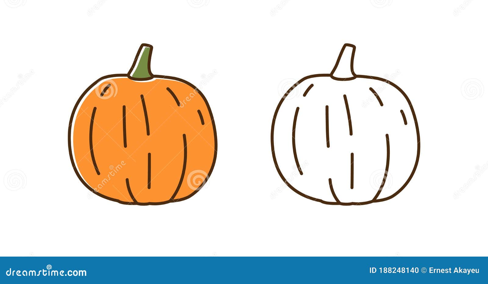 set of natural colorful and outline monochrome pumpkin  . seasonal autumn squash with  s