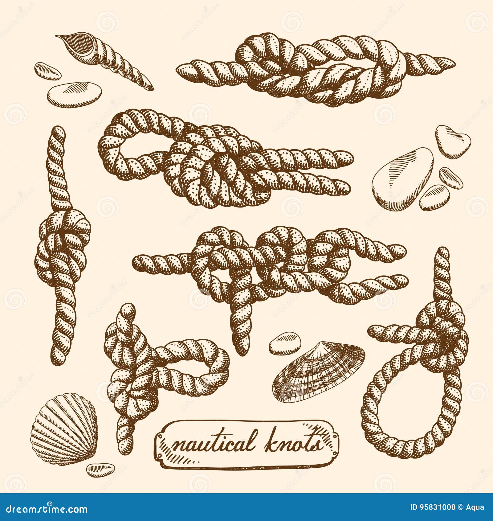 Set of nautical knots stock vector. Illustration of maritime 95831000