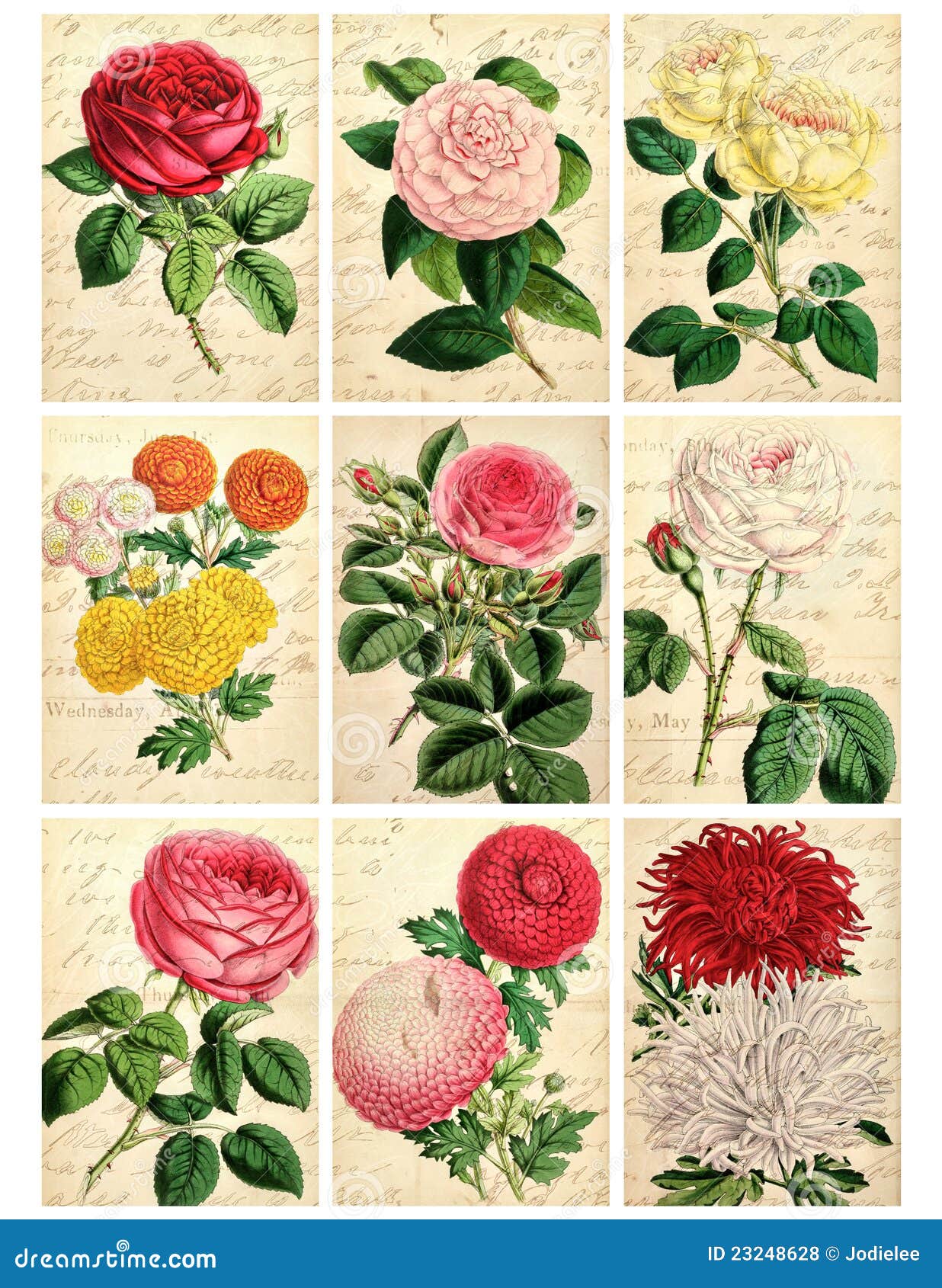 set of nine shabby vintage floral cards