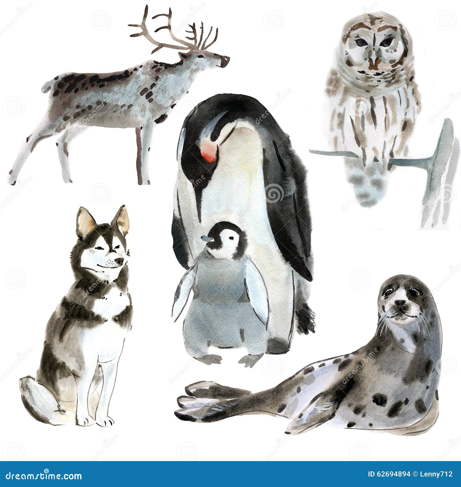 set of northern animals watercolor illustration in white background watercolor illustration