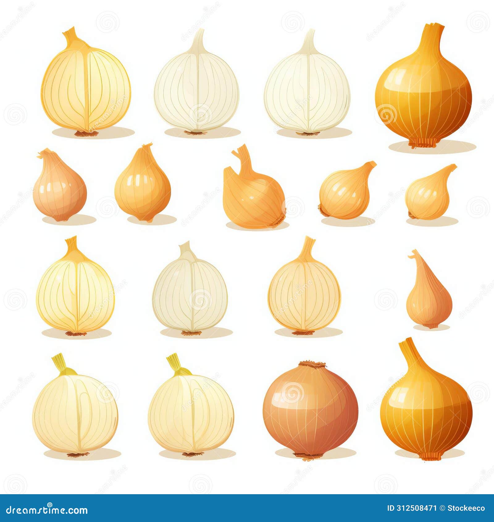 large icon set of onions: realistic yet stylized  graphics