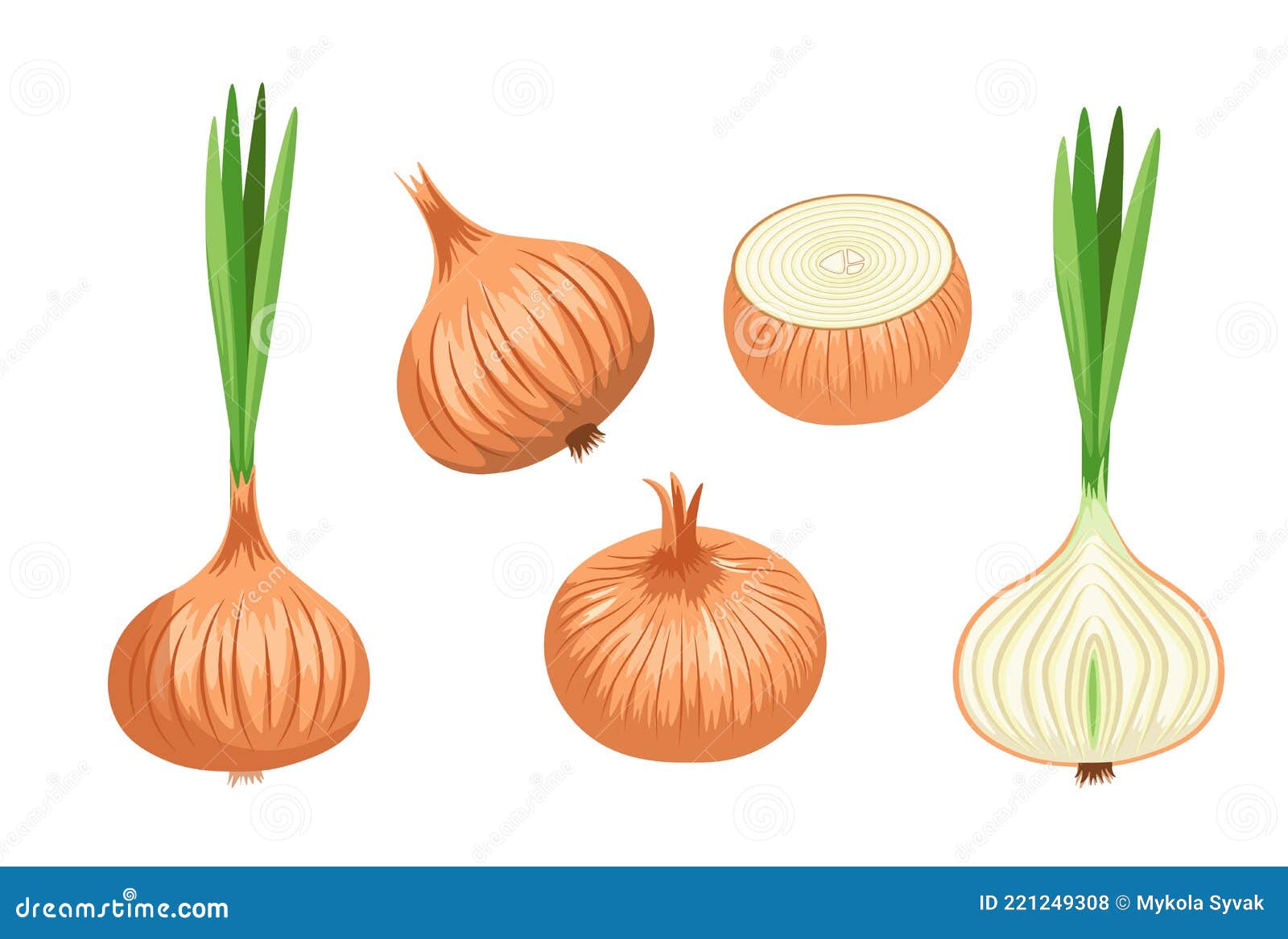 Hand Drawn Cartoon Image Shallots Shallot Stock Illustration 2356306605