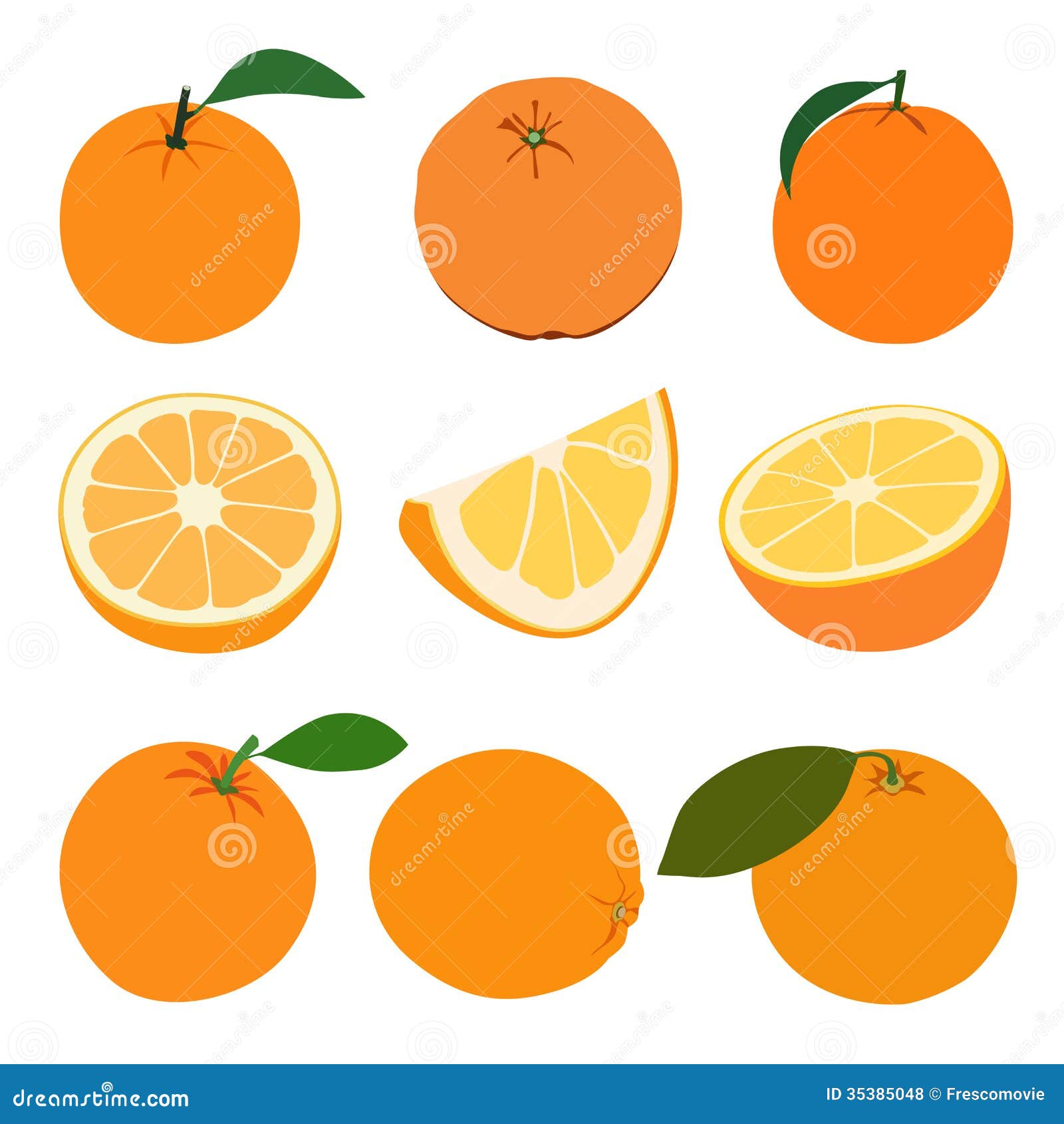 Set of oranges. stock vector. Illustration of food, vector 35385048