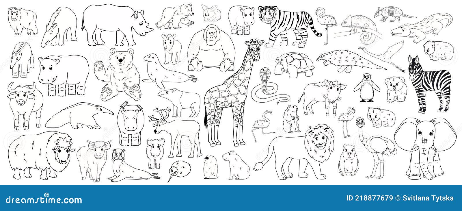 set of outline cartoon  savannah african american forest animals.  line tiger lion rhinoceros buffalo zebra elephant