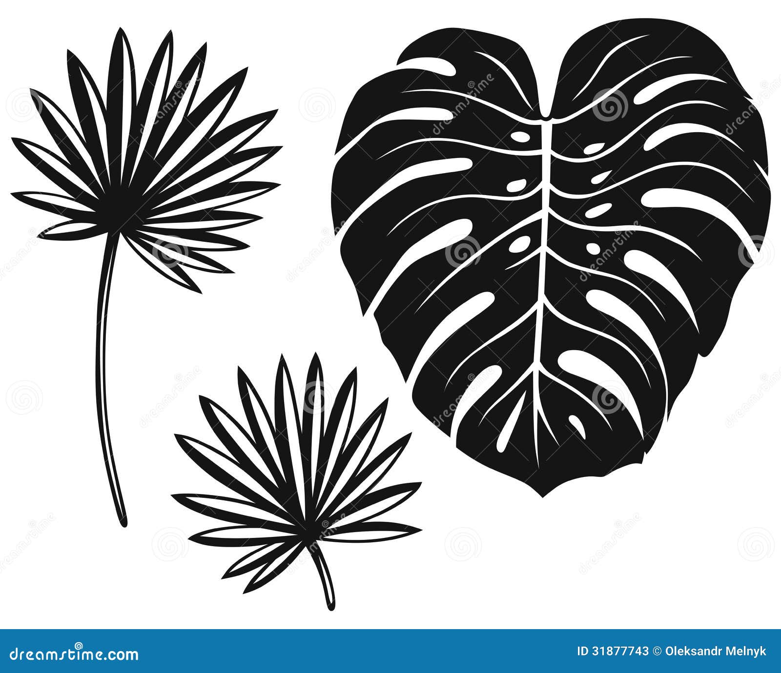 Set of palm leaves stock vector. Illustration of bush - 31877743