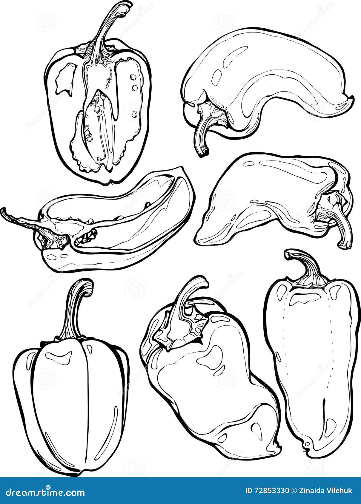 Set of paprika stock vector. Illustration of vegetable 72853330