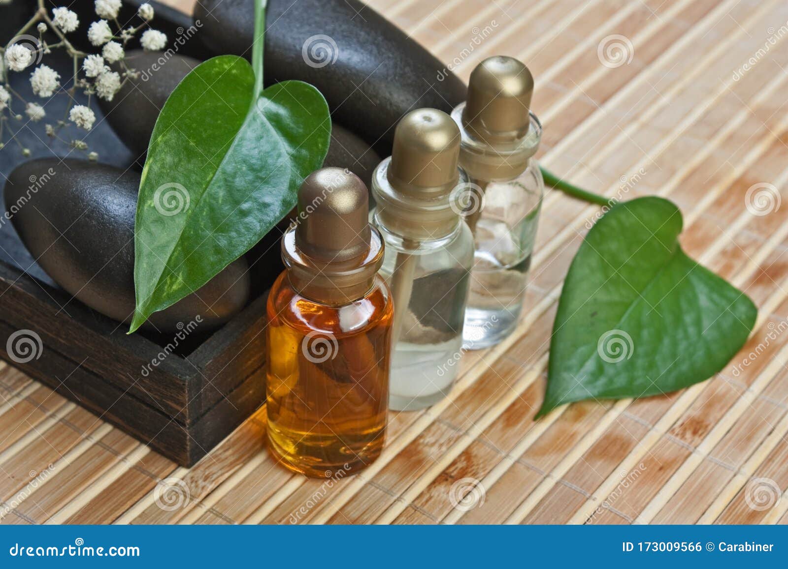 Set of perfume oils stock photo. Image of fresh, foliage 173009566