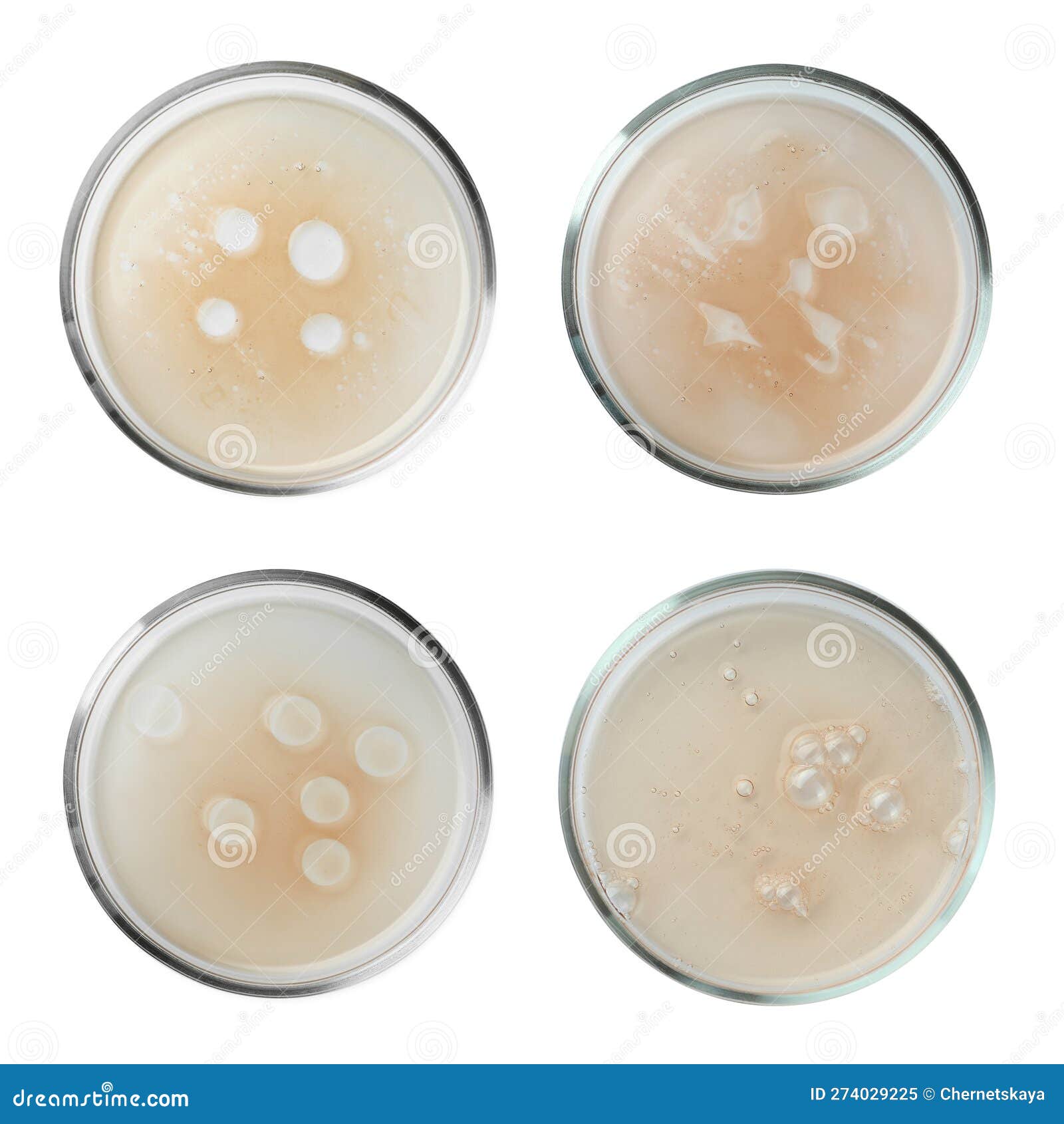 Set of Petri Dishes with Liquid Samples Isolated on White, Top View