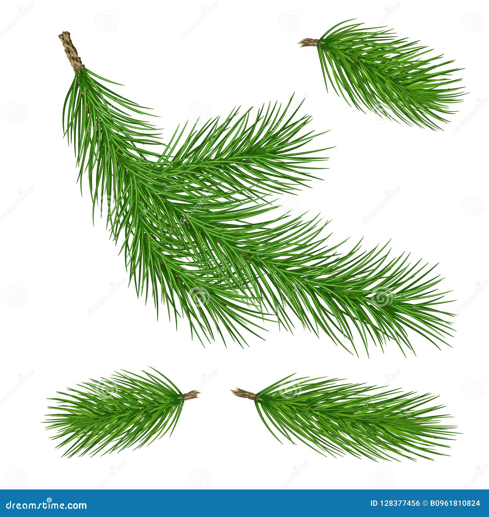 Set of Pine Branches for Christmas Design. Pine in a Realistic S