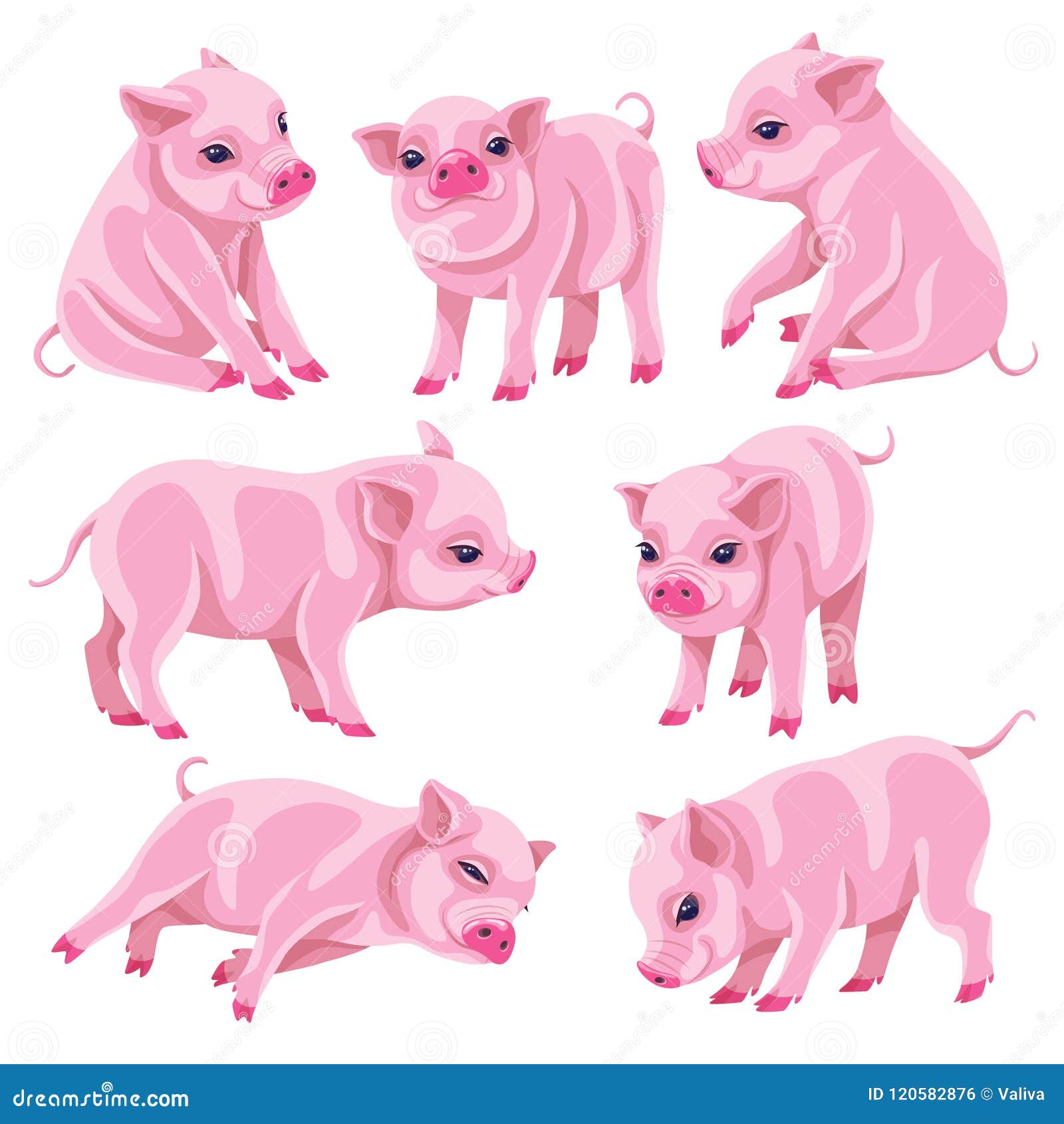 micro mini pig images clipart