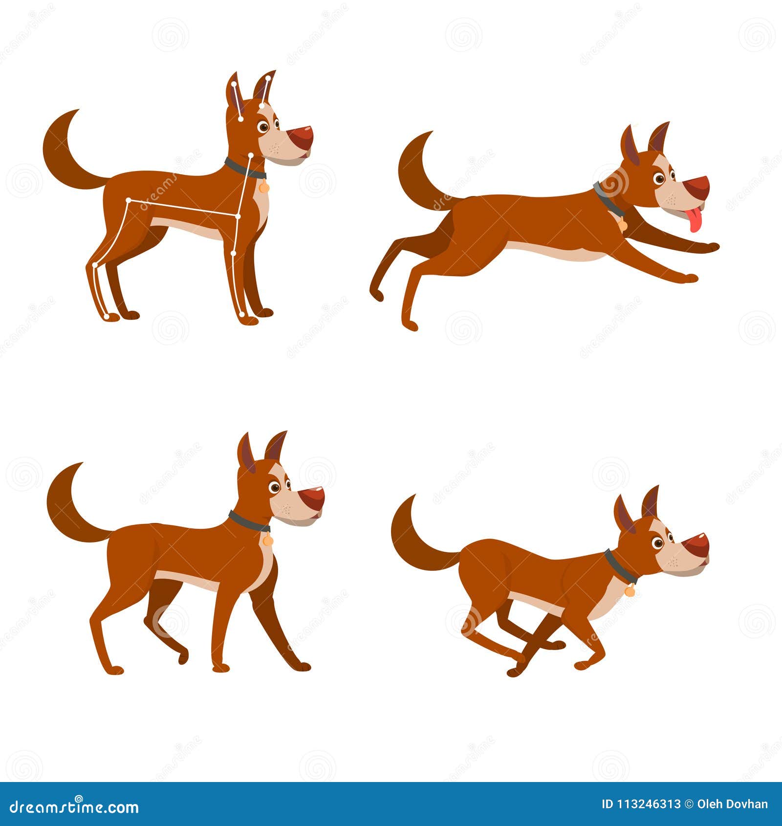 Set of Poses for the Animation of the Dog. Running and Walking Cartoon Cute  Dog Stock Illustration - Illustration of health, funny: 113246313