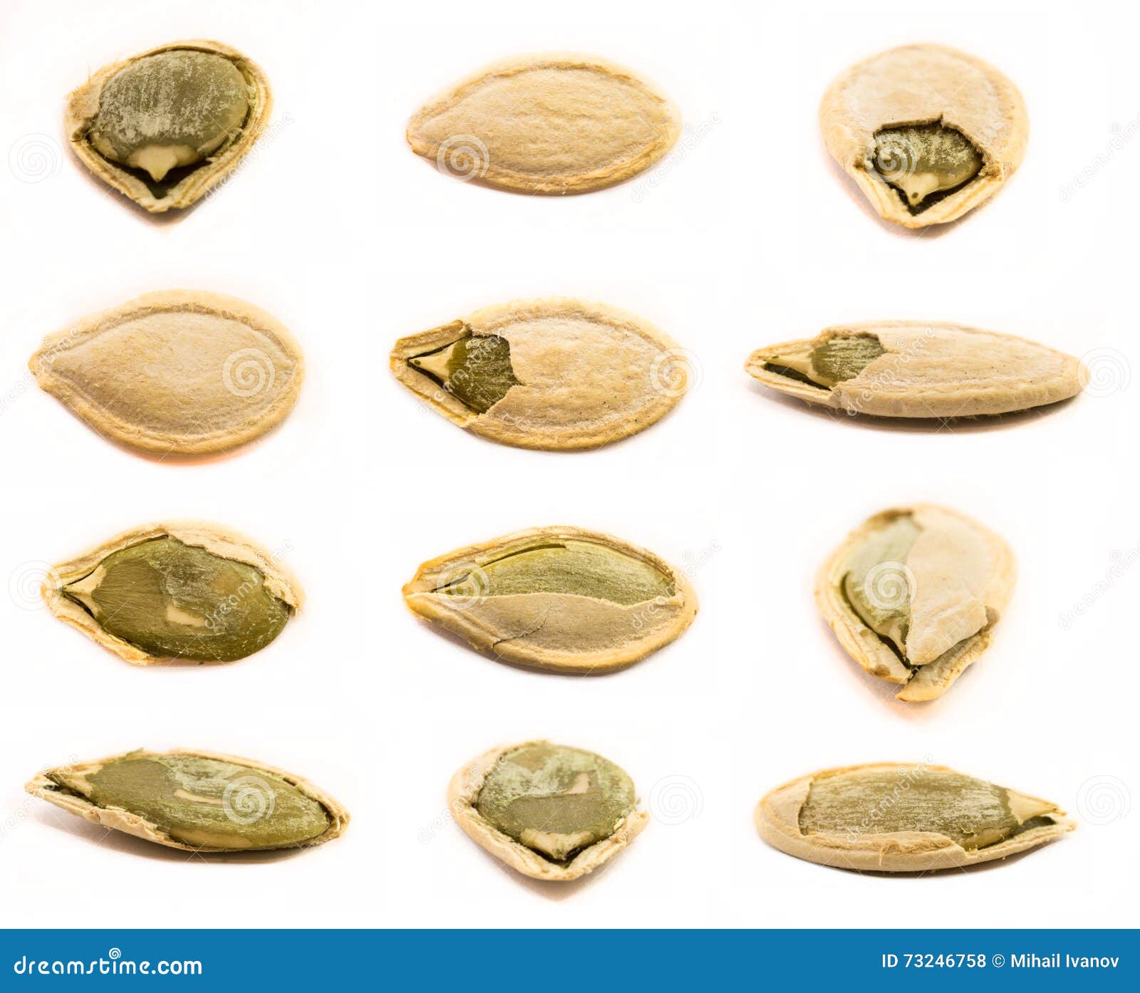 A set of pumpkin seeds isolated on white background.