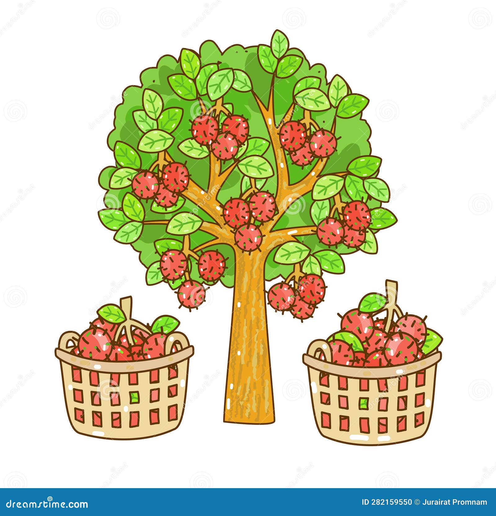 Rambutan Tree Stock Illustrations – 235 Rambutan Tree Stock Illustrations,  Vectors & Clipart - Dreamstime