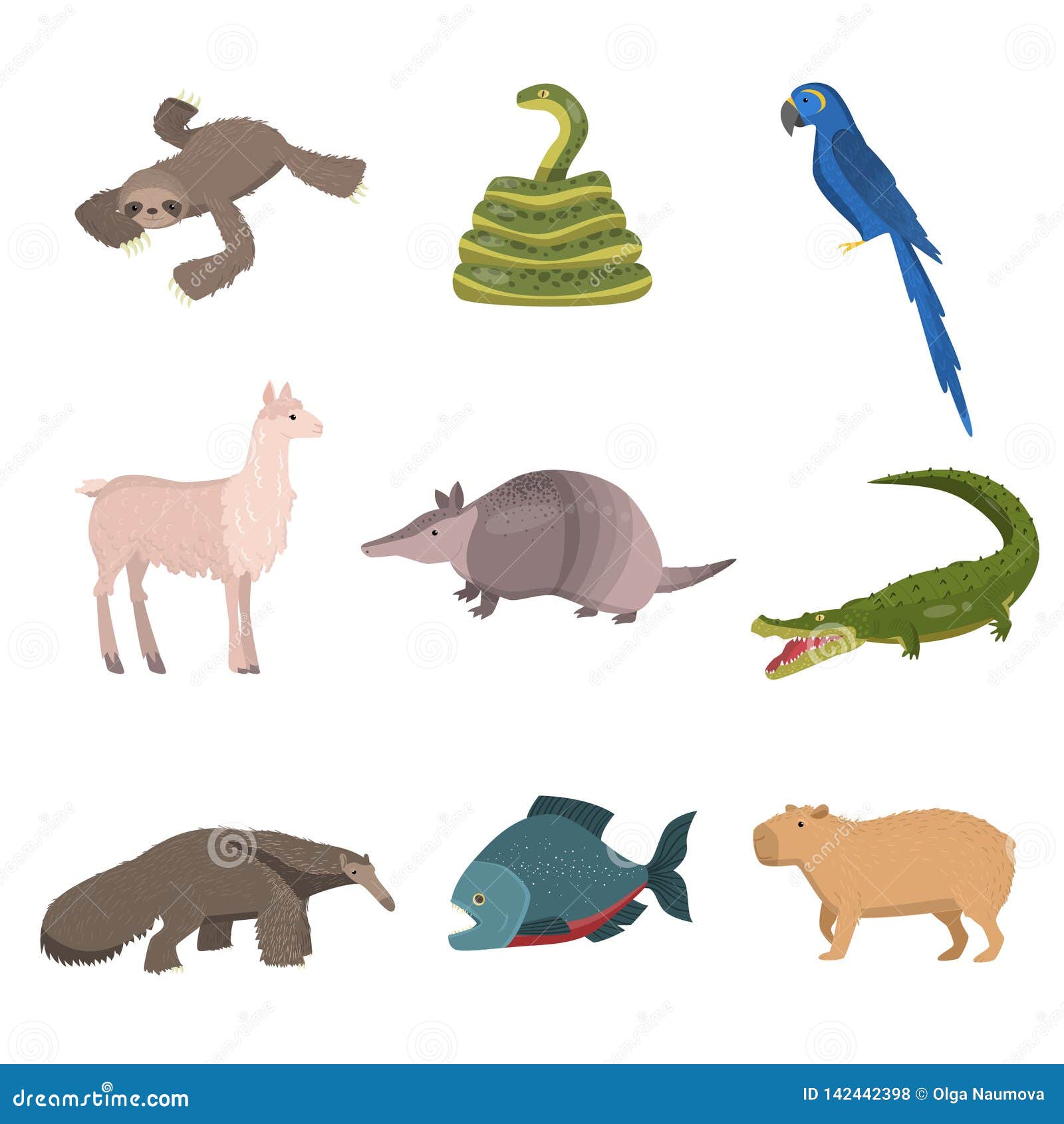 Set of Wild South America Animals, Parrot and Fish Isolated on White Background Stock Vector - Illustration of cute, mammal: 142442398 Set of Wild South America Animals, Parrot and Fish Isolated on White Background Stock Vector - Illustration of cute, mammal: 142442398