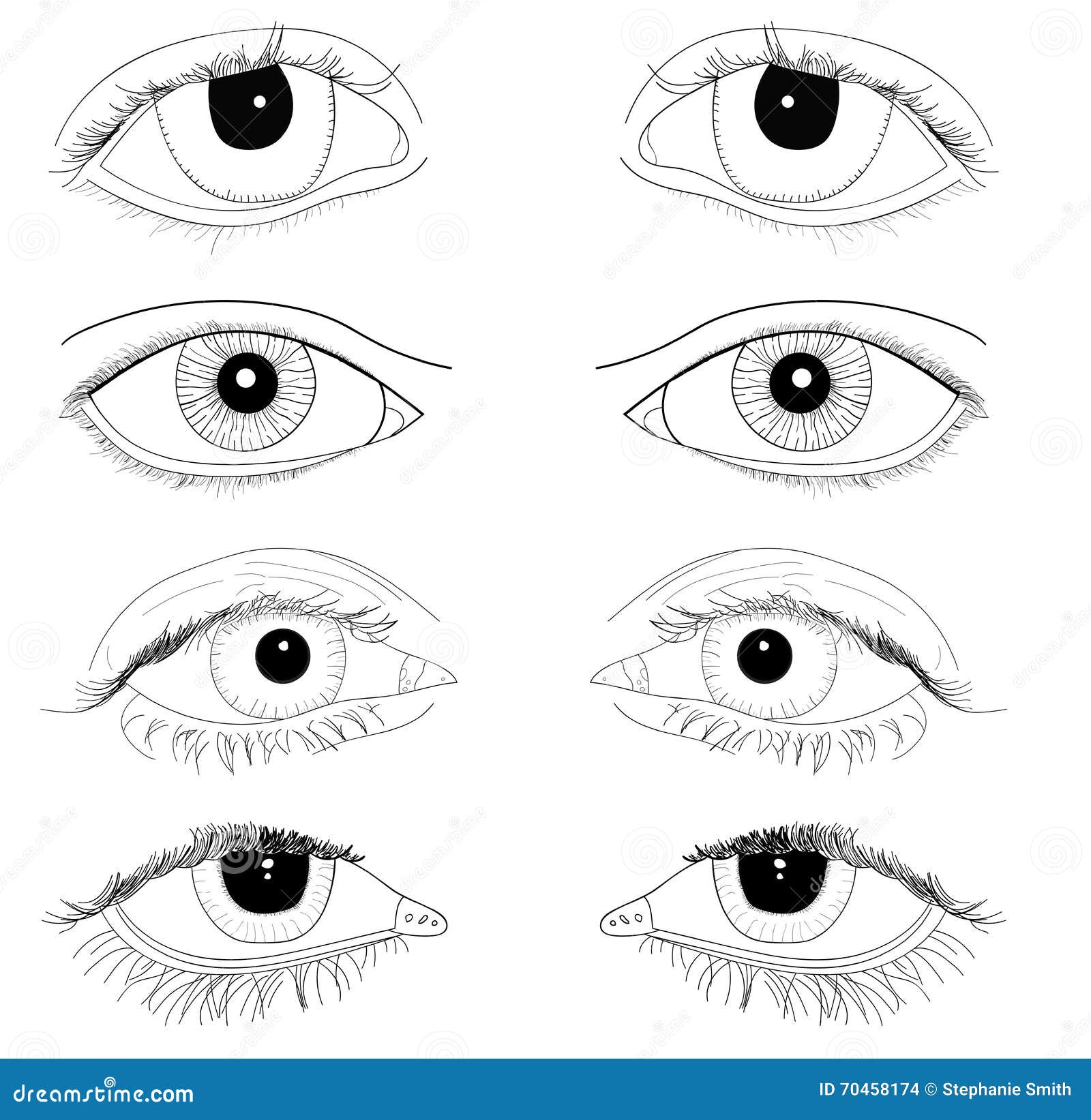 Set Of Realistic Eyes Hand Drawn Line Art Illustrations No Fill Body Parts Stock Vector - Image ...