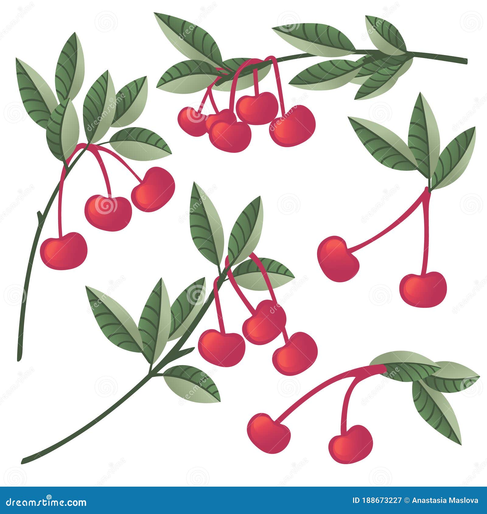 Set of Red Cherry Berry on Tree Branches with Green Leaves Flat Vector