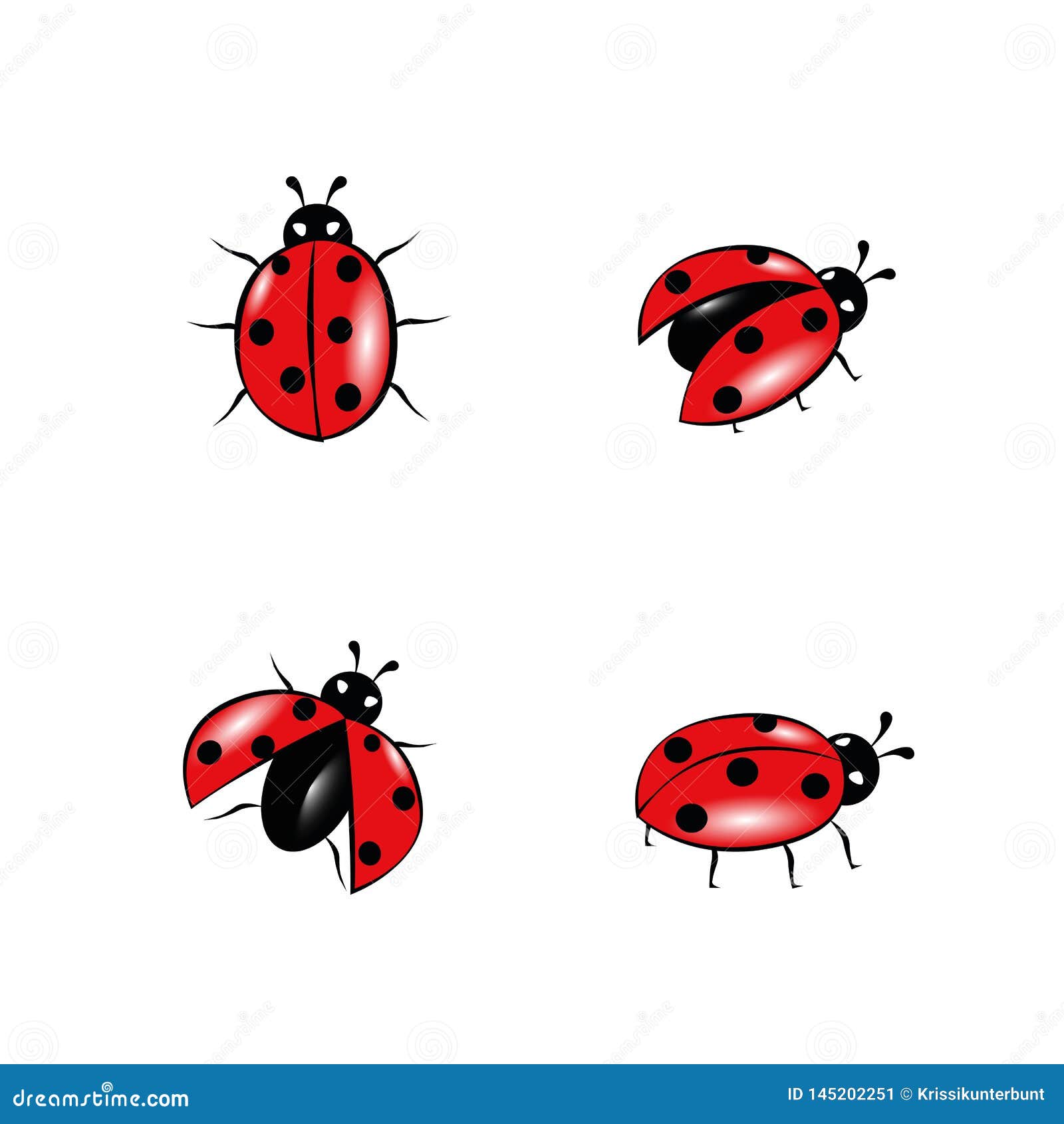 Set Of Red Ladybug Isolated On White Stock Vector - Illustration of alone, bright: 145202251