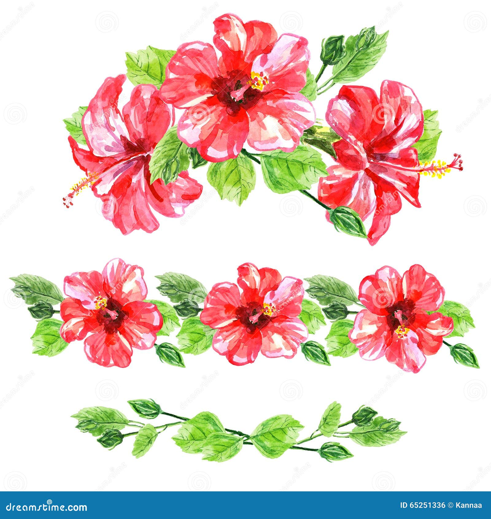 Set Of Red Watercolor Hibiscus Flower Stock Illustration
