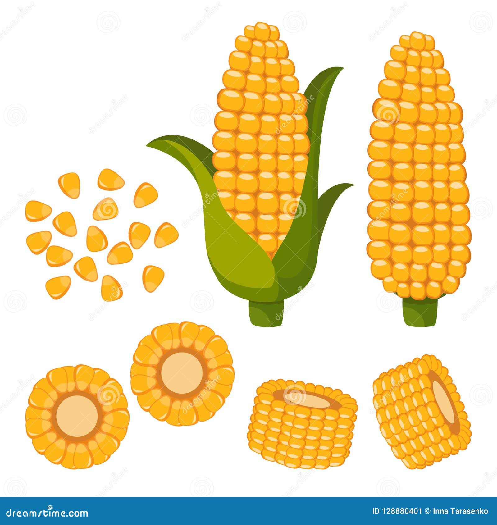 Set of Ripe Corn, Halves and Grains in Different Angles on a White ...