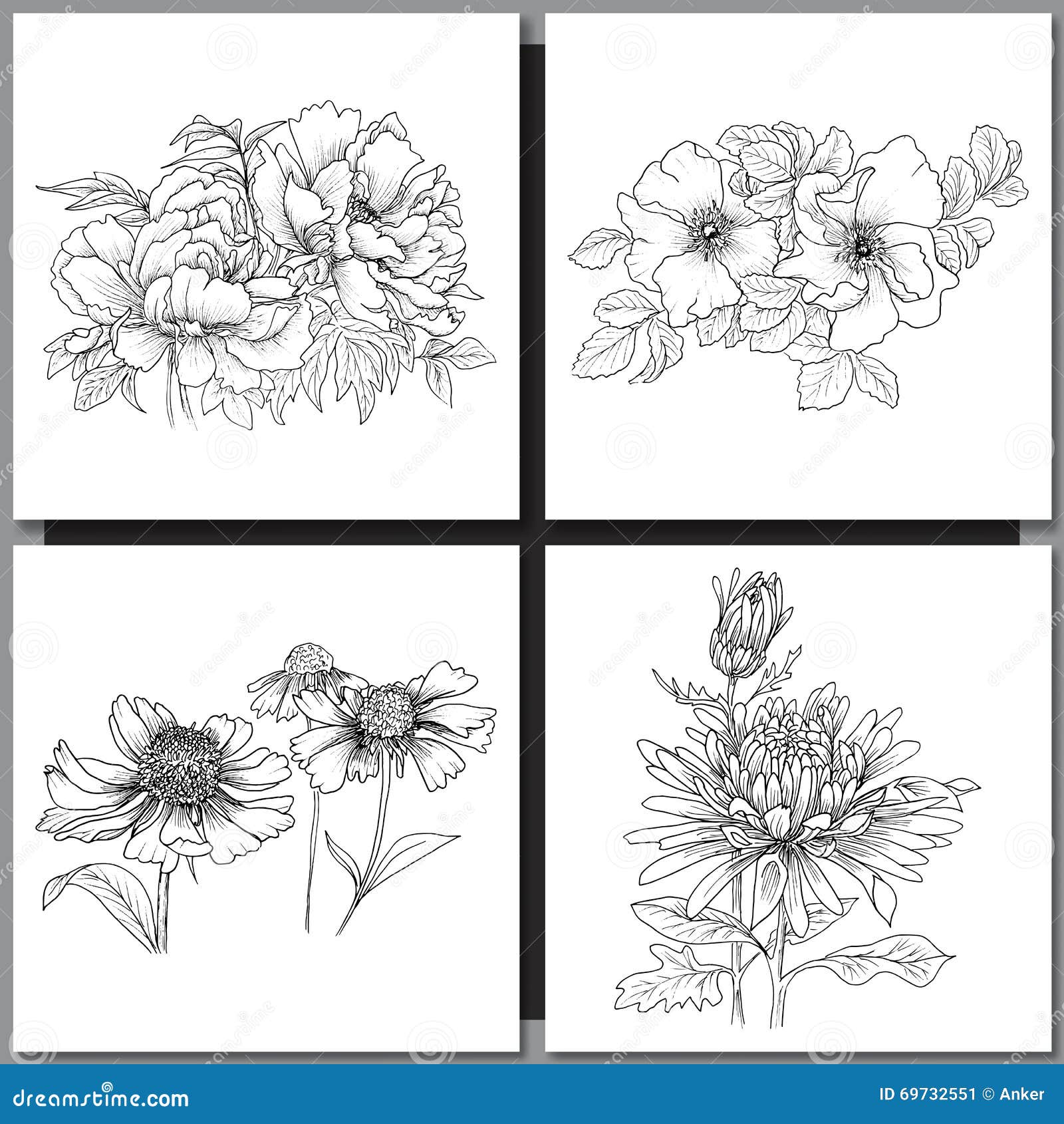 set of romantic  background with three echinaceas.