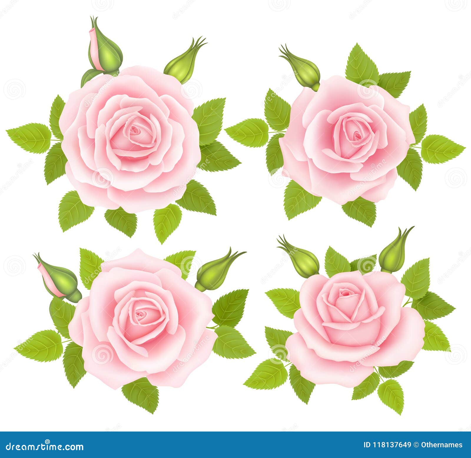 Set of Roses Flowers. Vector Illustration Stock Vector - Illustration ...