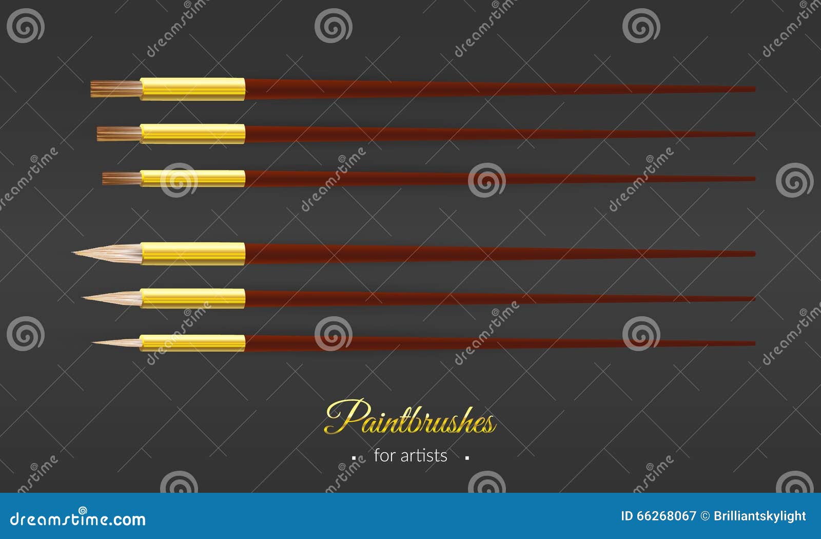 Set with Round and Flat Paintbrushes for Artists Stock Vector