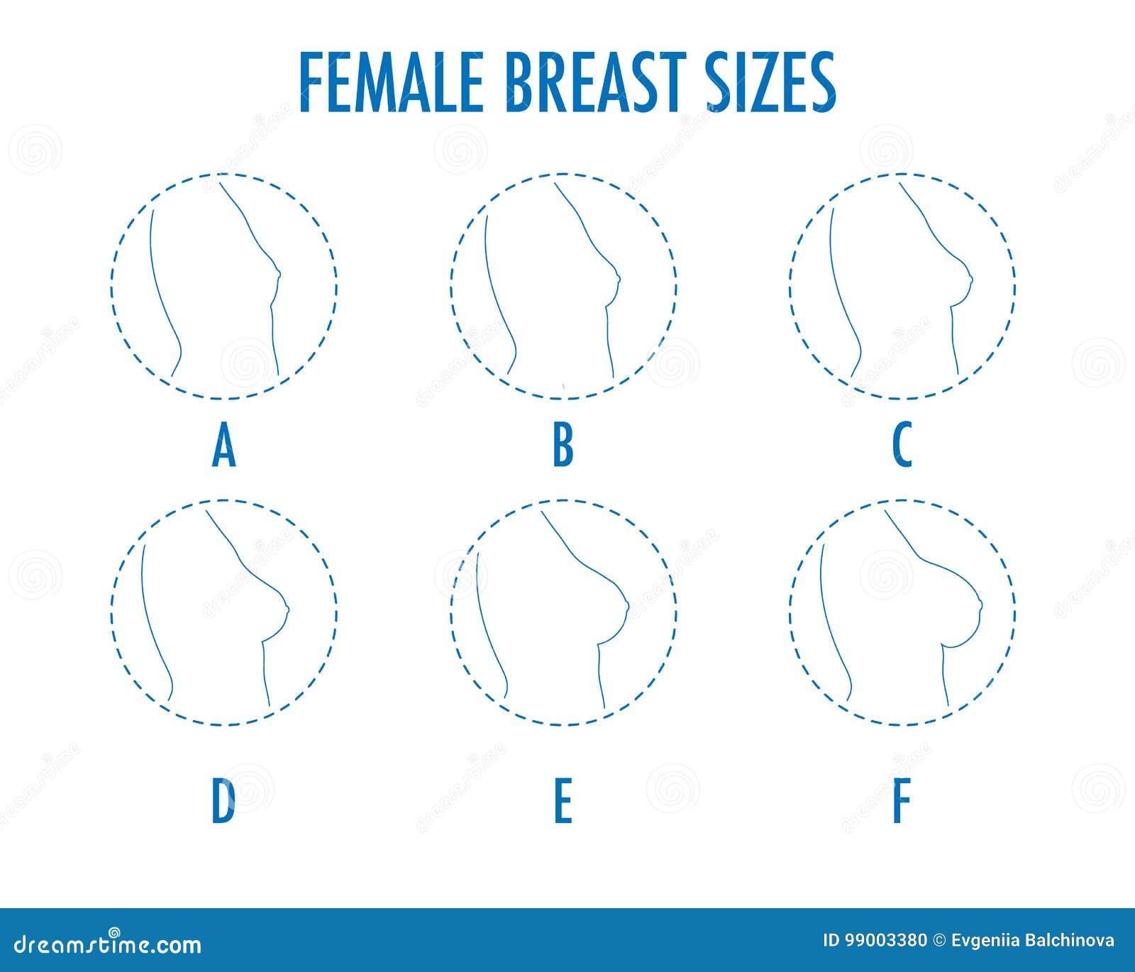 Set of Round Line Icons of Different Female Breast Size Stock