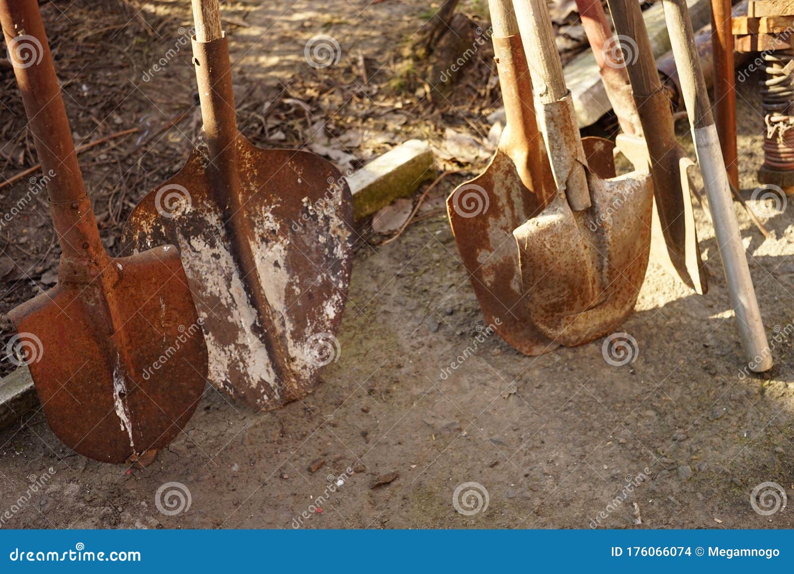 Set of Rusty Shovels. Old Gardening Tools Stock Photo Image of shovel