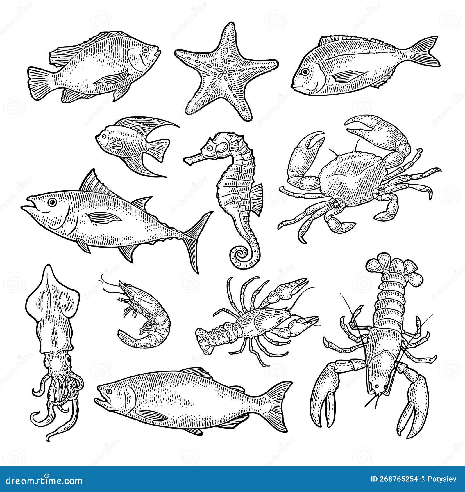Tilapiine Cartoons Illustrations Vector Stock Images 8 Pictures To tilapiine-cartoons-illustrations-vector-stock-images-8-pictures-to