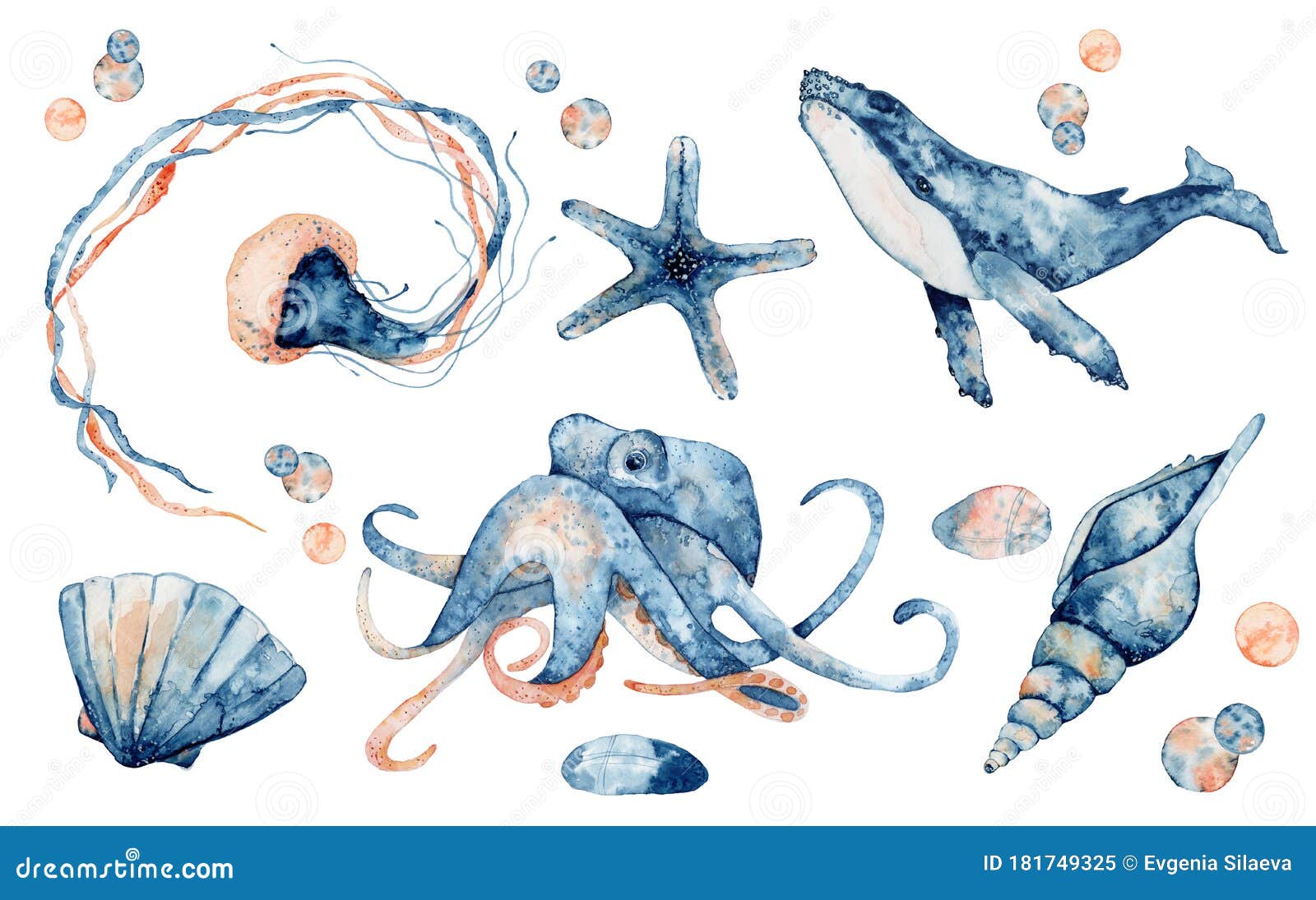 Set of Sea Animals. Blue Watercolor Ocean Fish, Medusa, Whale, Seahorse, Octopus Stock Illustration - Illustration of abstract, mollusk: 181749325 Set of Sea Animals. Blue Watercolor Ocean Fish, Medusa, Whale, Seahorse, Octopus Stock Illustration - Illustration of abstract, mollusk: 181749325