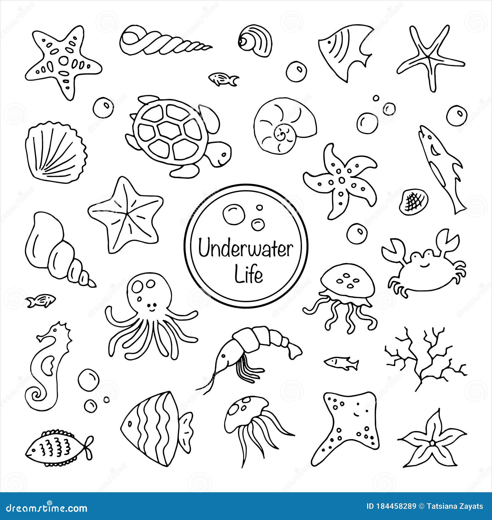 Set Of Sea Underwater Creatures Outline On White