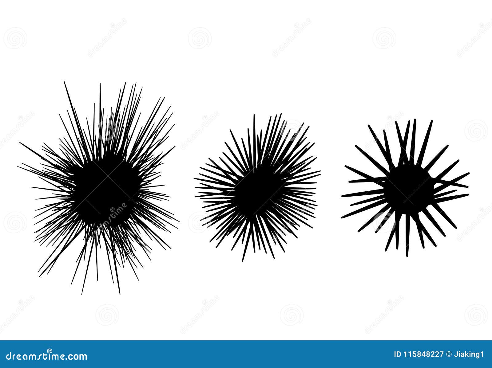 set of sea urchin icon in silhouette style, 