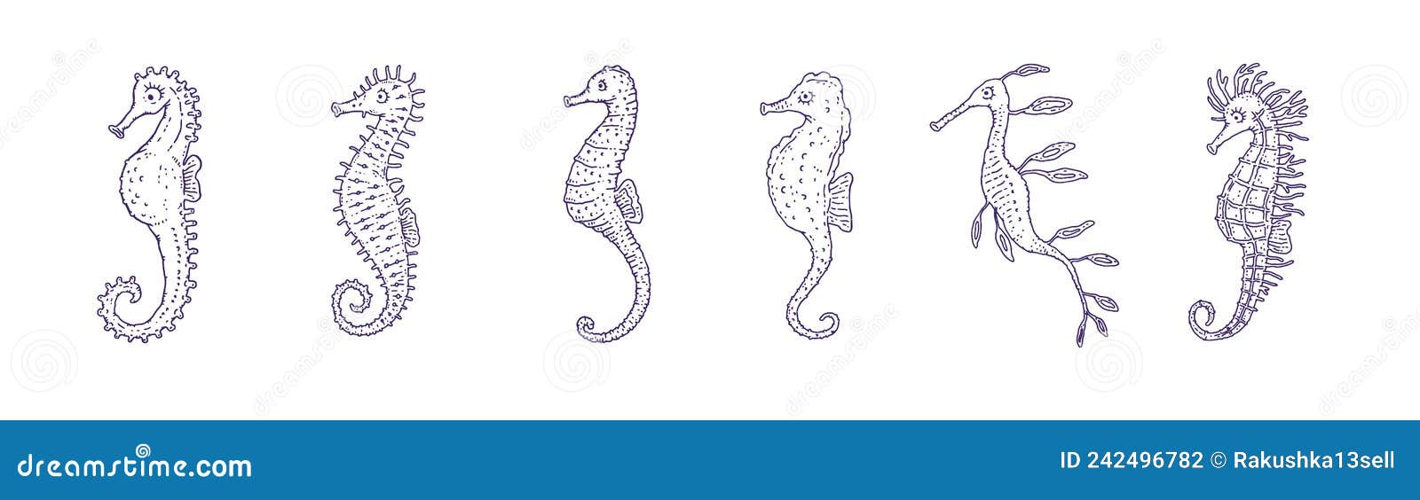 Set Seahorses Different Forms. Vector Ocean Animals Underwater Life