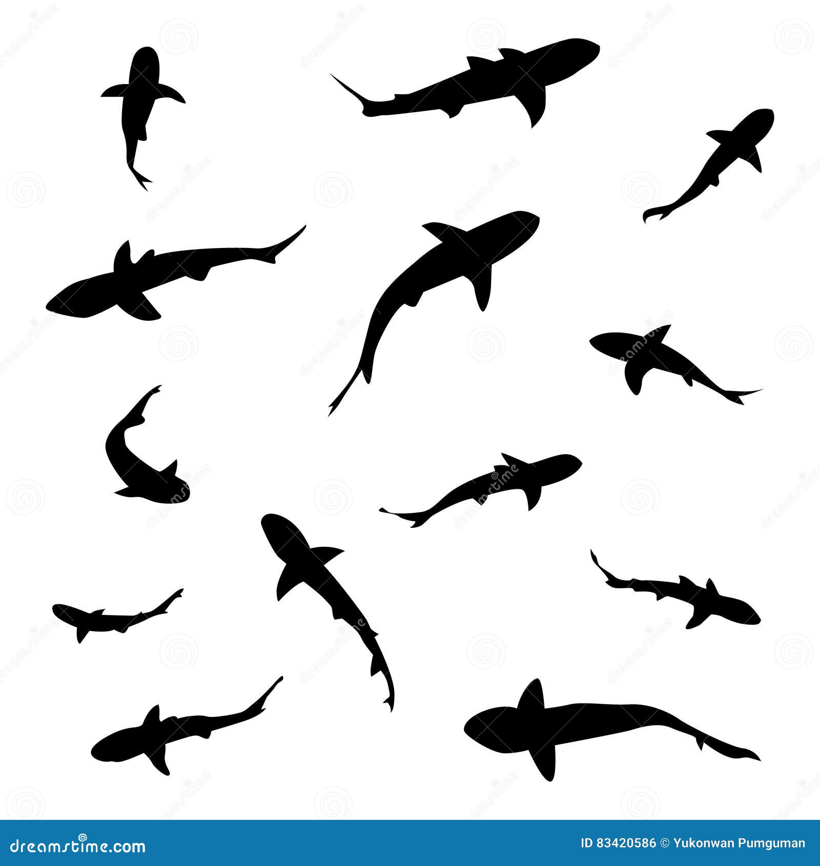 Free Free 172 Shark Silhouette Svg Free SVG PNG EPS DXF File