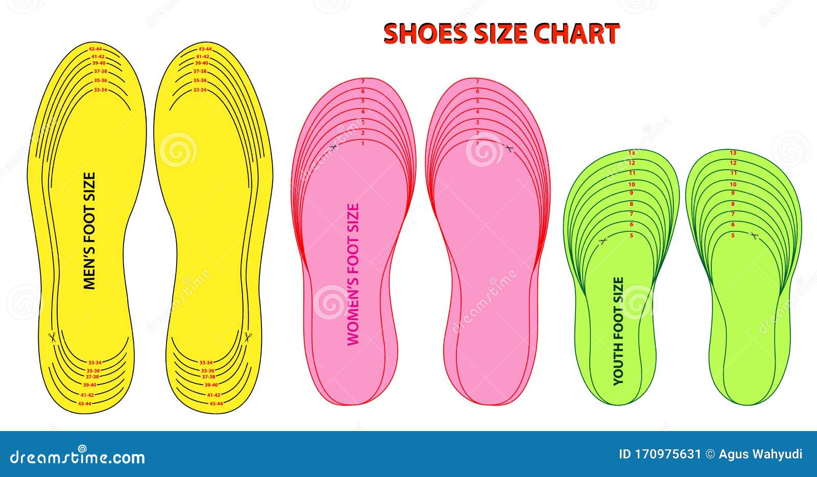 Set of Shoes Chart Size or Socks Chart Size or Measurement Foot Chart ...