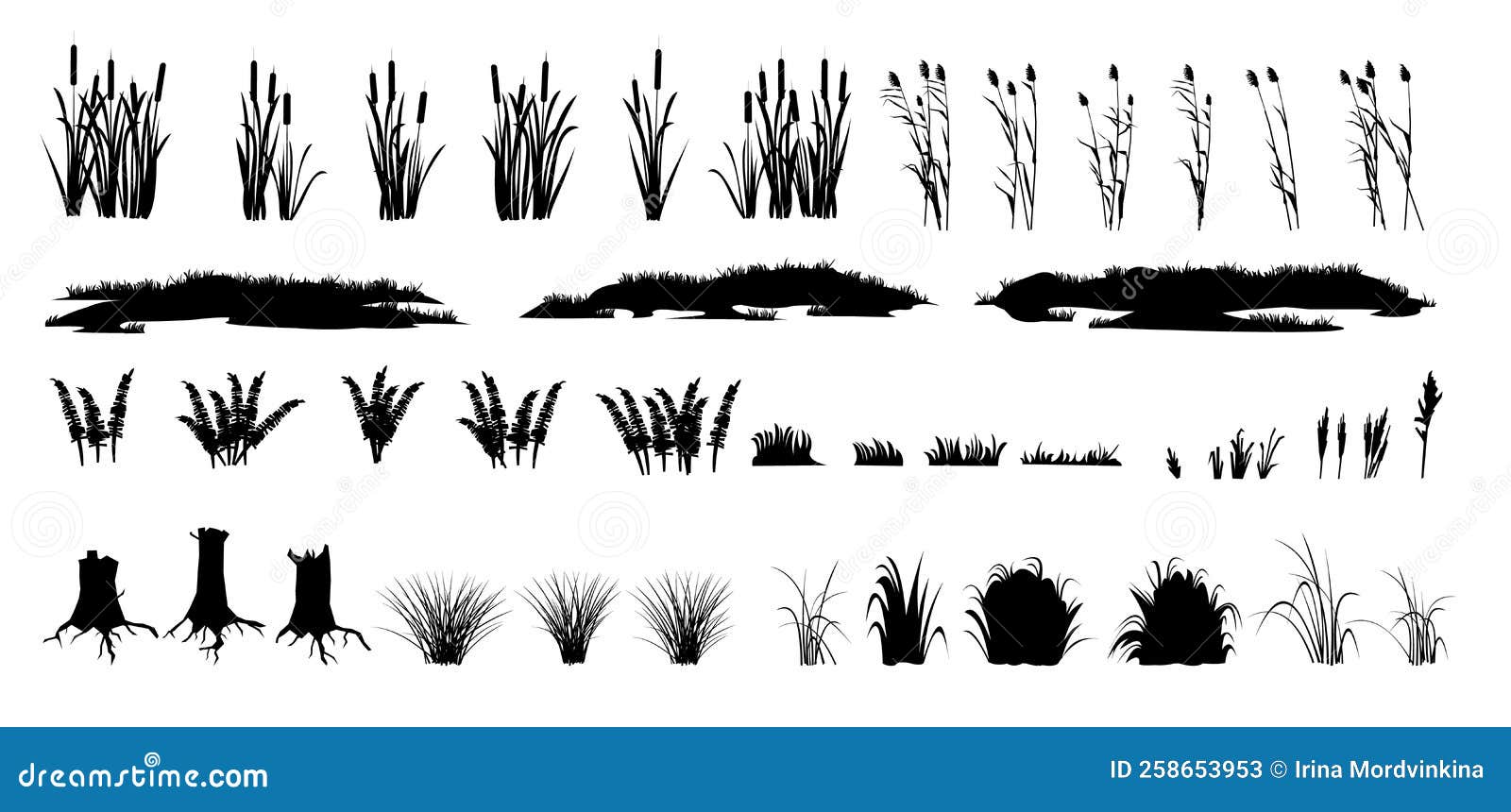 set of shoots of reeds, reeds and coastal grass. ferns and rotten stumps. swamp landscape. view of the river bank