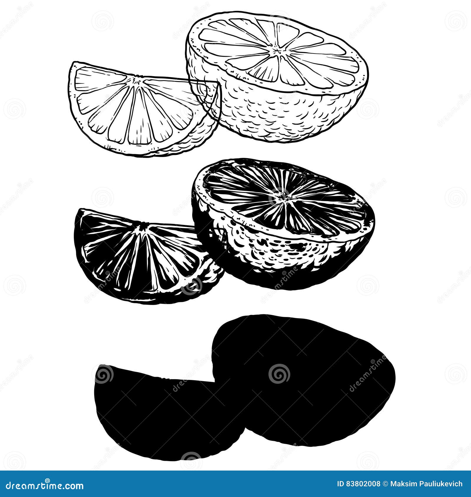 Set of Silhouette Orange on a White Background Stock Vector