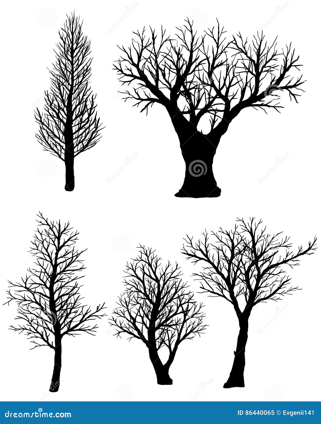 Set of Silhouettes of Bare Trees on a White Background. Stock Vector