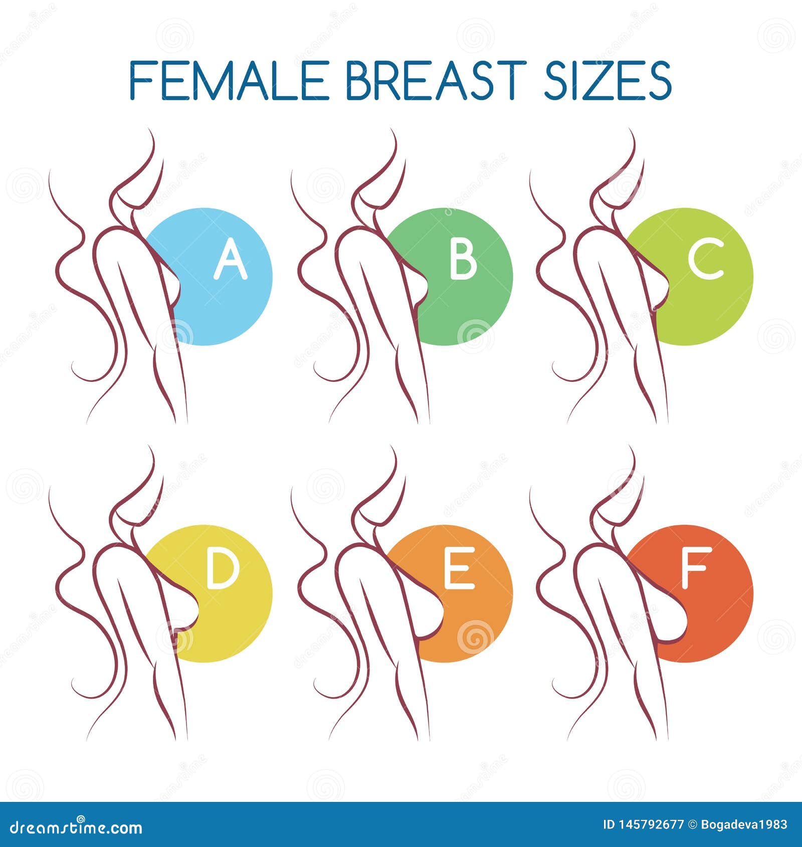 Set of contour round icons of different female breast size, body 3435694  Vector Art at Vecteezy
