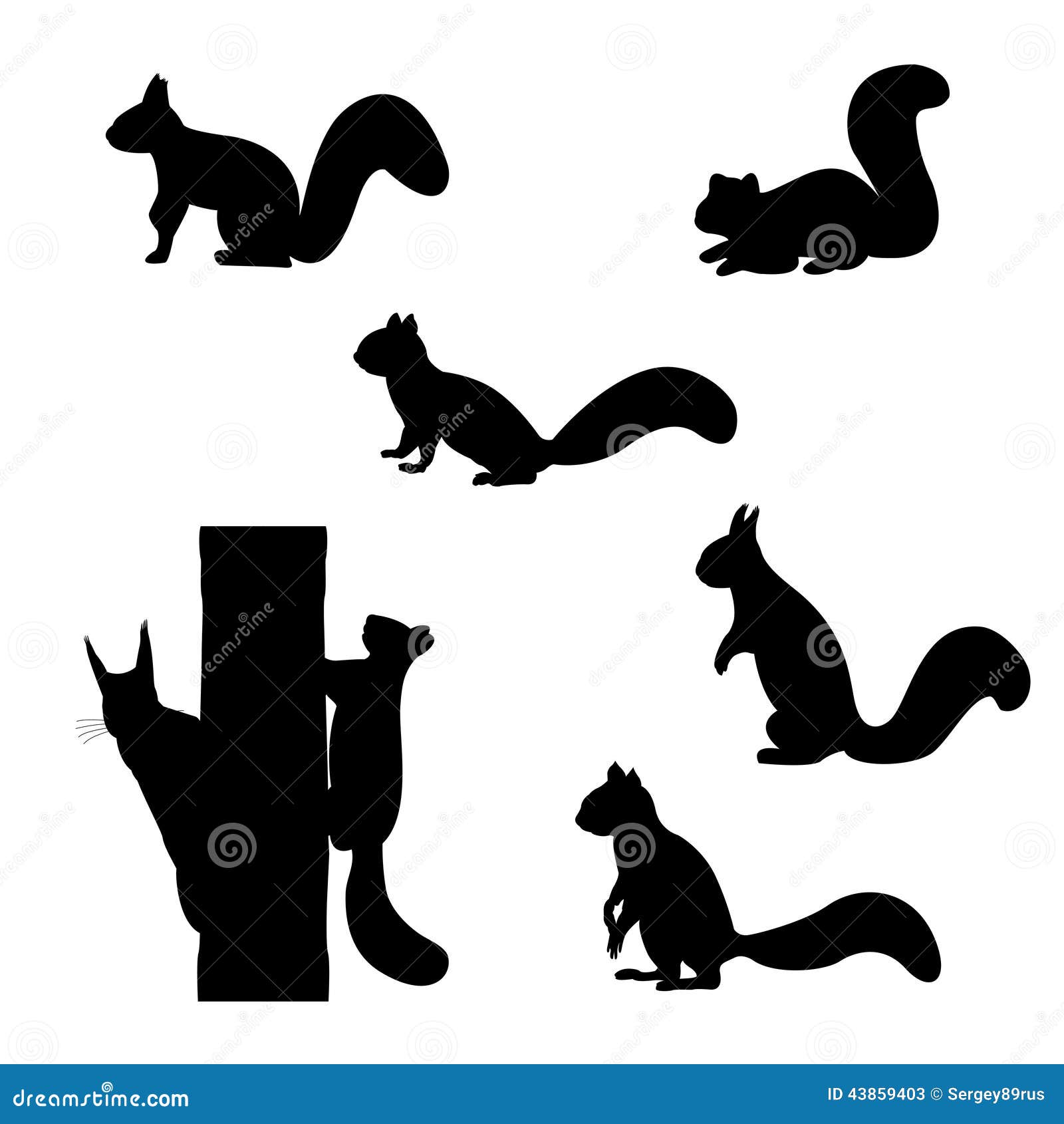 Download Set Of Silhouettes Of Squirrels. Stock Vector - Illustration of forest, black: 43859403