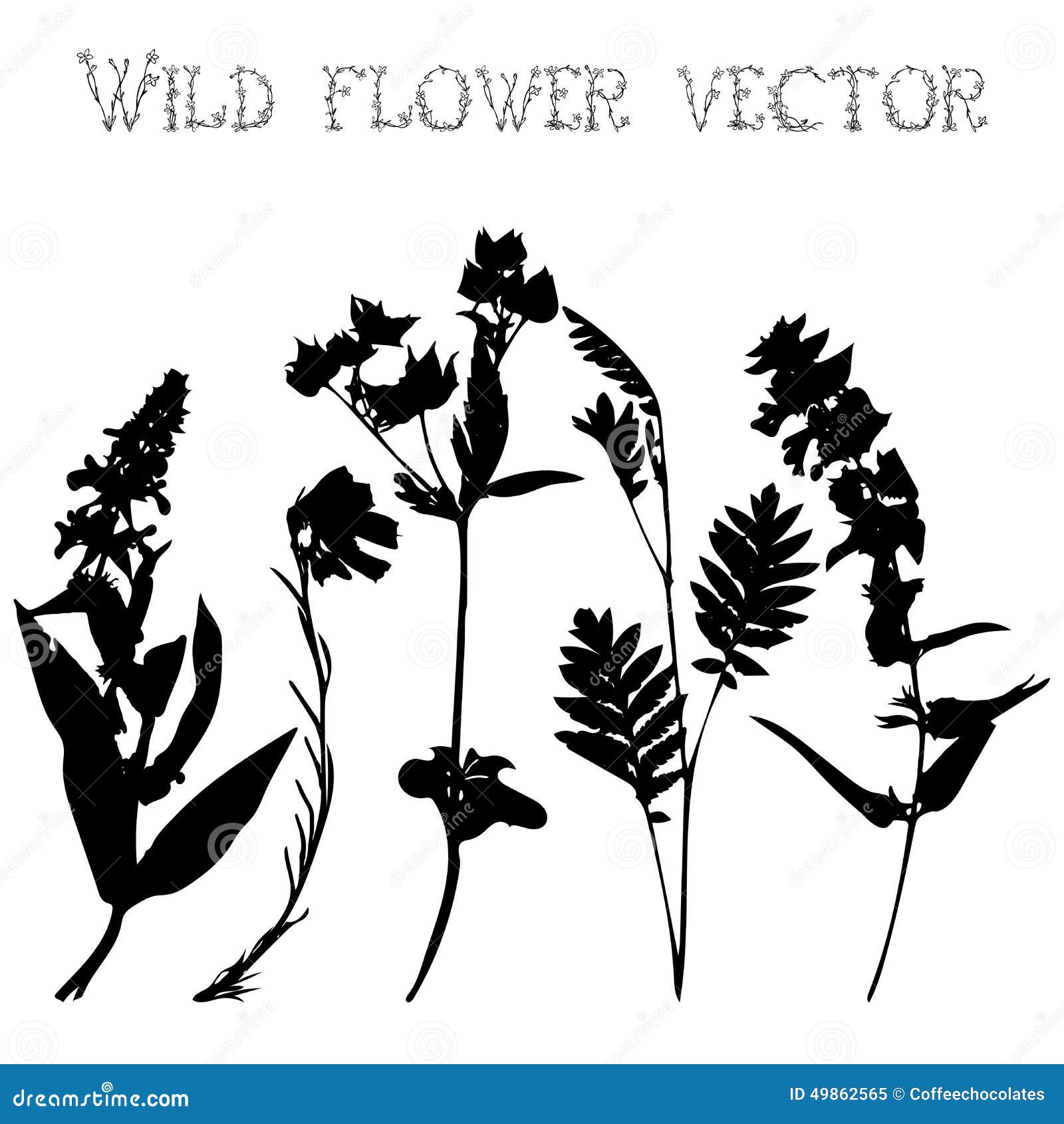 Set Silhouettes of Wild Flowers Vector Stock Vector Illustration of