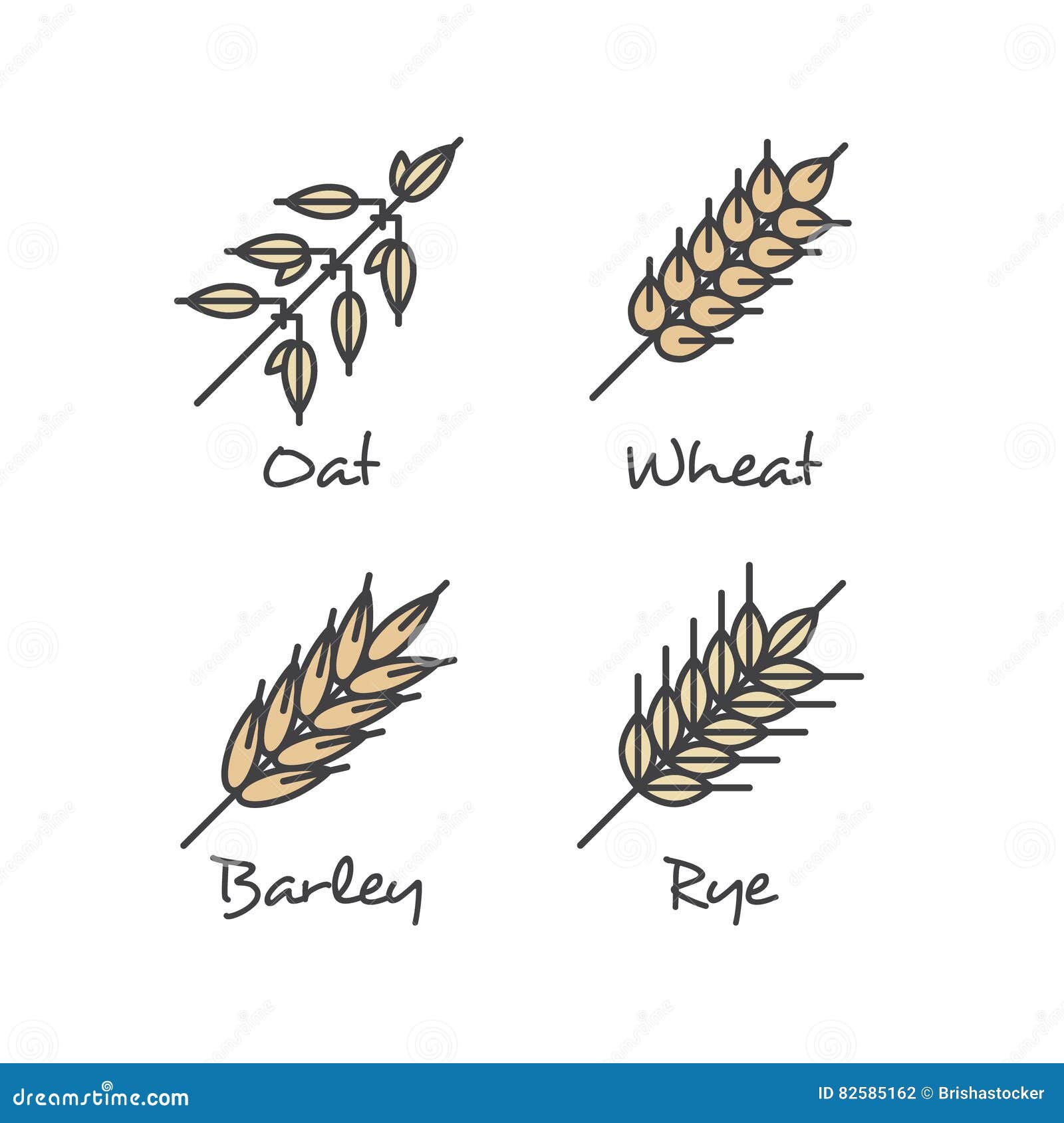 Premium Vector | Vector hand drawn wheat doodle illustration cute harvest  clipart farm market product